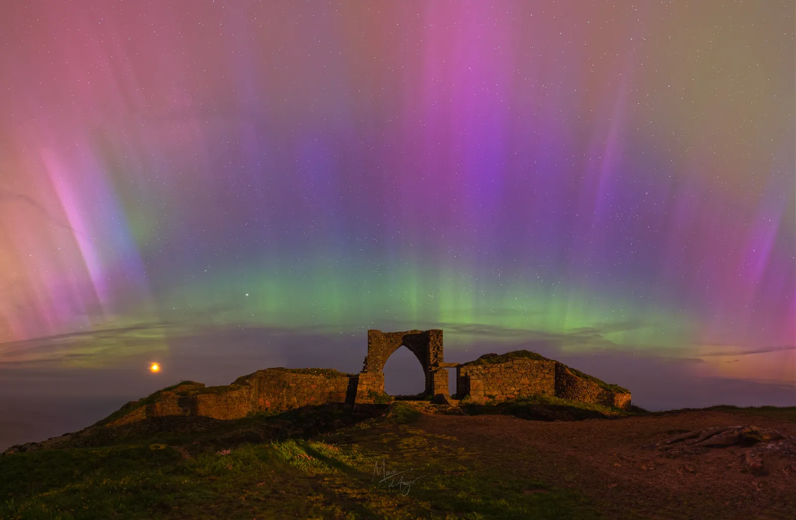 Jersey - Aurora
